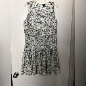 Ann Taylor floral pleated flare dress